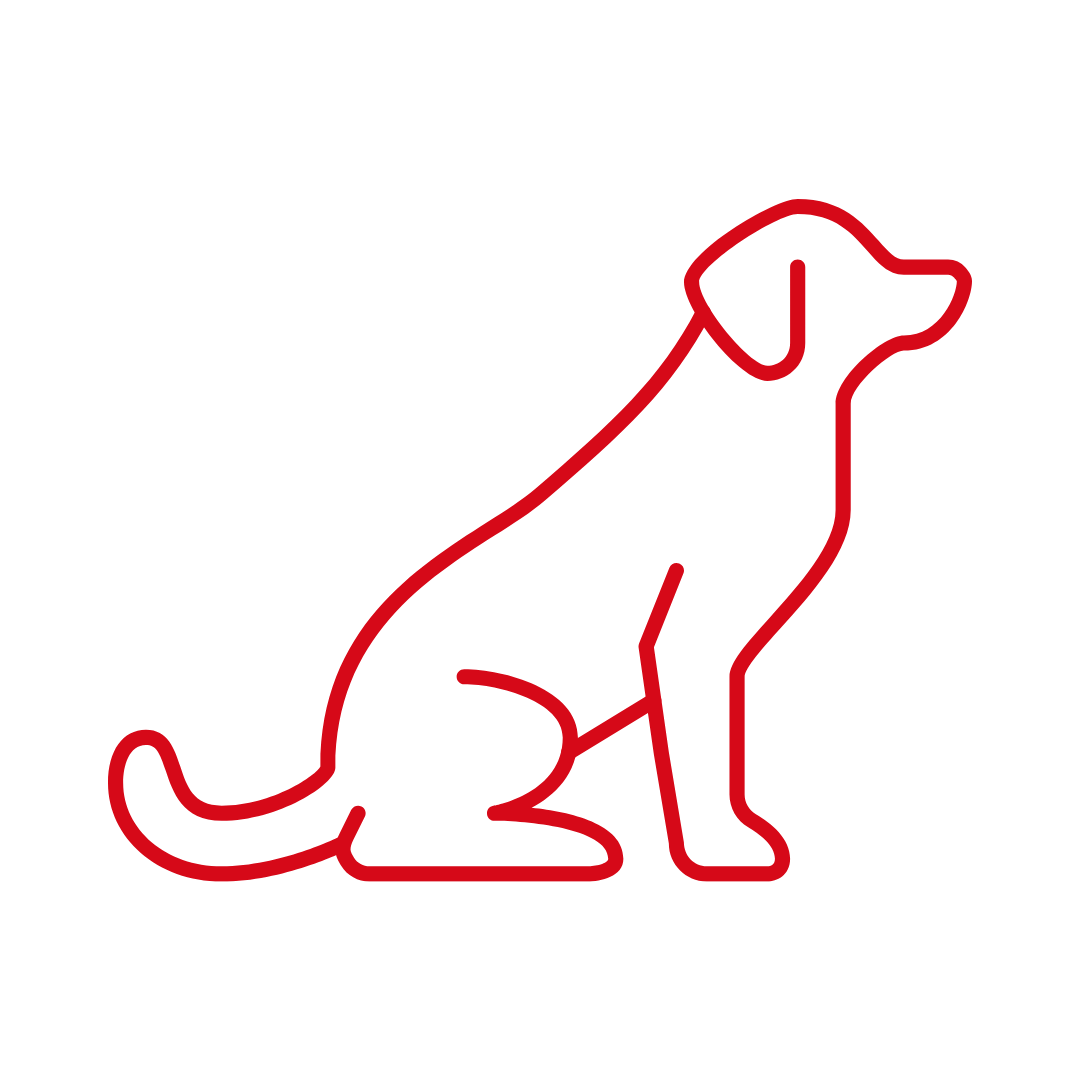 hundefreundlich-wohnmobilstellplatz-horstmar